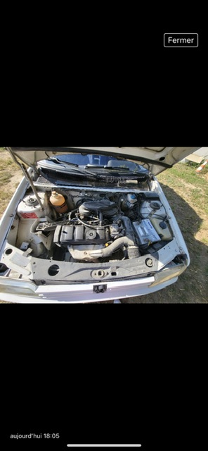 image12.jpeg