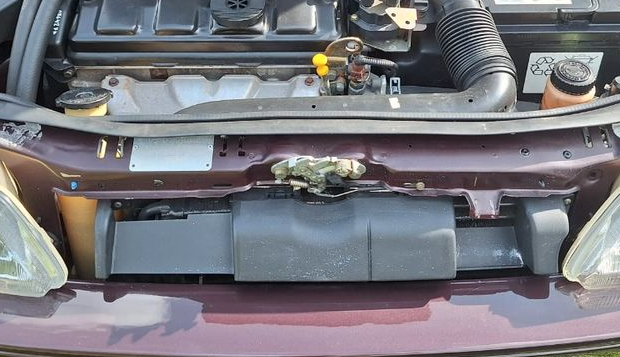 Screenshot 2025-11-09 at 00-49-20 (3) Rare 106 griffe - Voitures.png