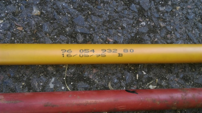 IMAG5371.jpg